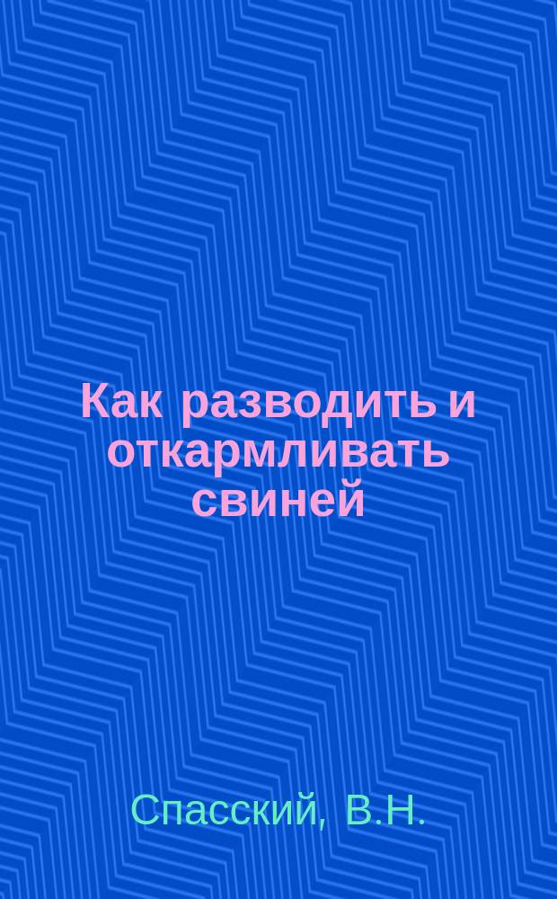 Как разводить и откармливать свиней