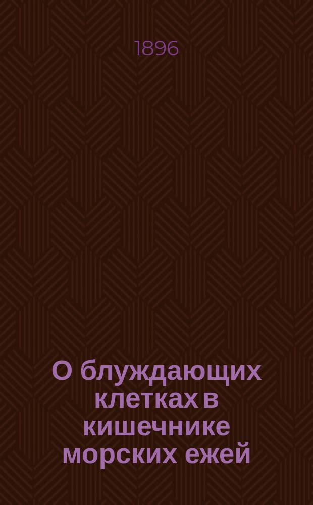О блуждающих клетках в кишечнике морских ежей