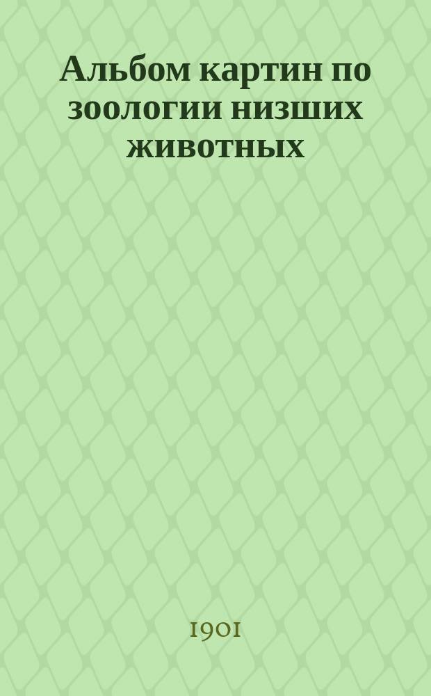 Альбом картин по зоологии низших животных