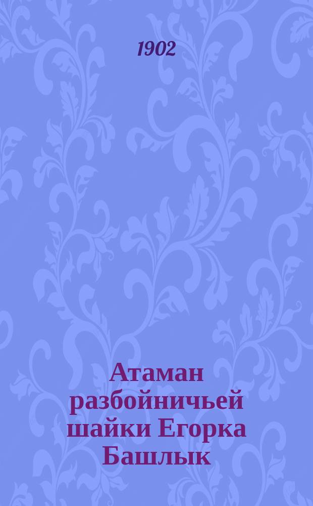 Атаман разбойничьей шайки Егорка Башлык