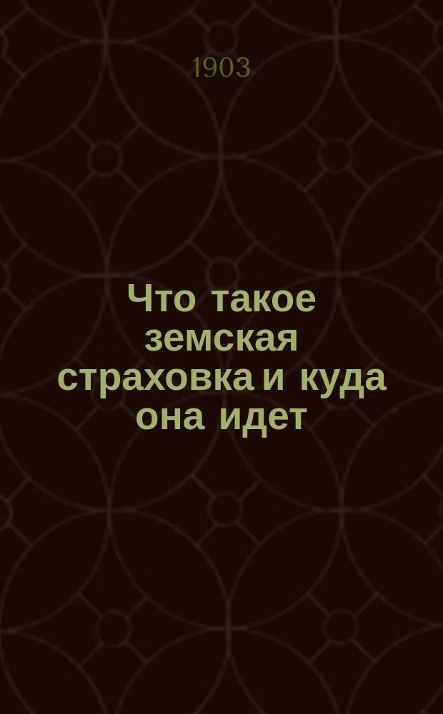 Что такое земская страховка и куда она идет