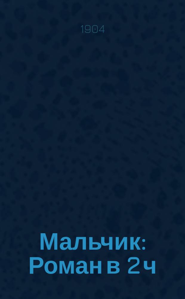 Мальчик : Роман в 2 ч