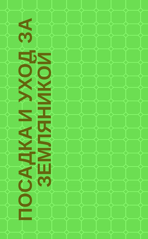 Посадка и уход за земляникой (клубникой)