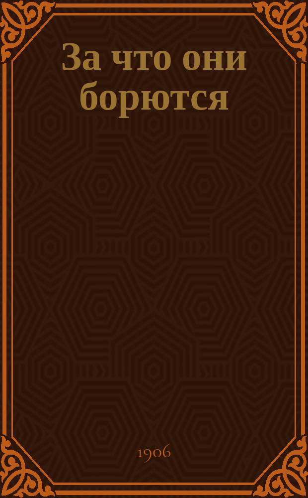 За что они борются