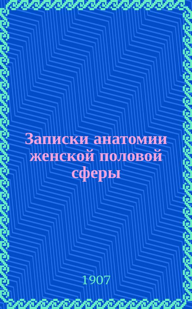Записки анатомии женской половой сферы