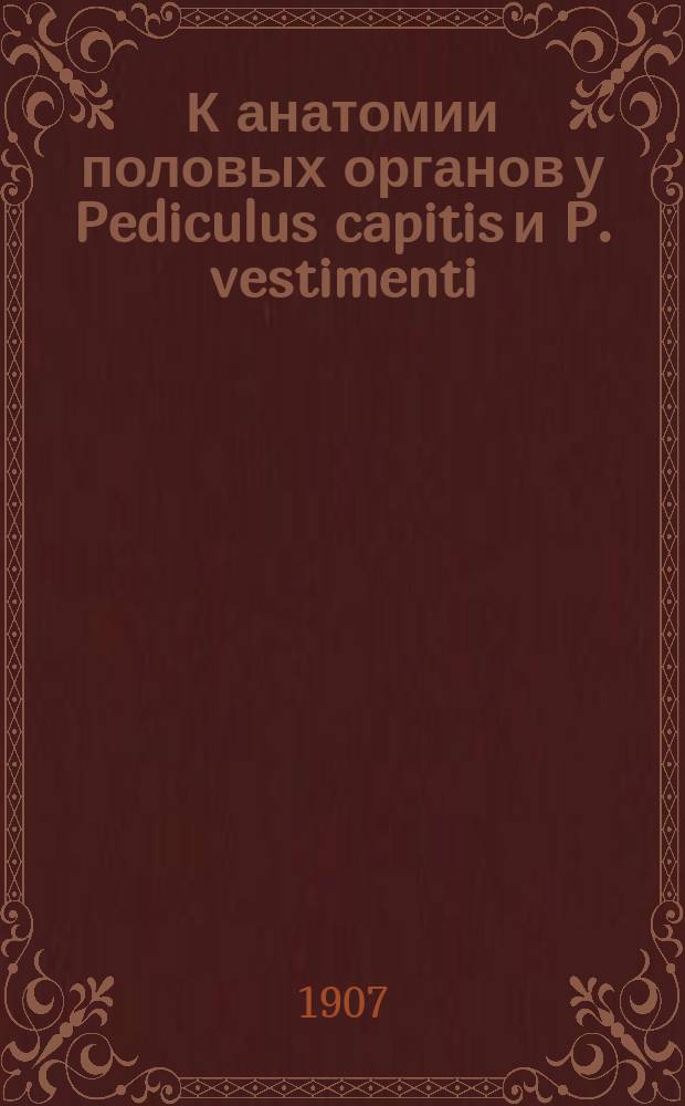К анатомии половых органов у Pediculus capitis и P. vestimenti