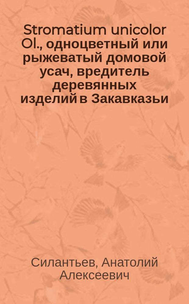 Stromatium unicolor Ol., одноцветный или рыжеватый домовой усач, вредитель деревянных изделий в Закавказьи