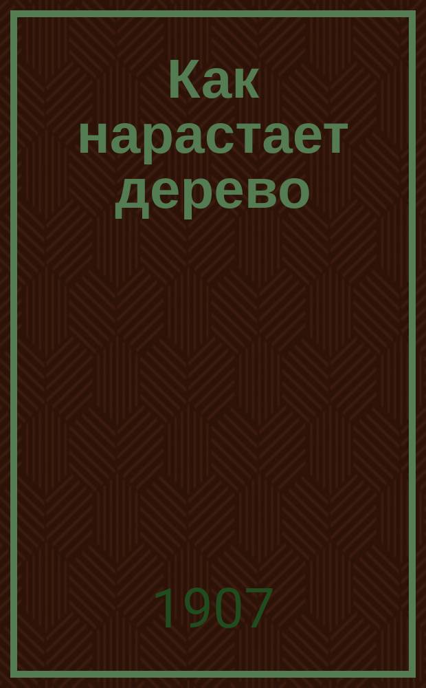 Как нарастает дерево
