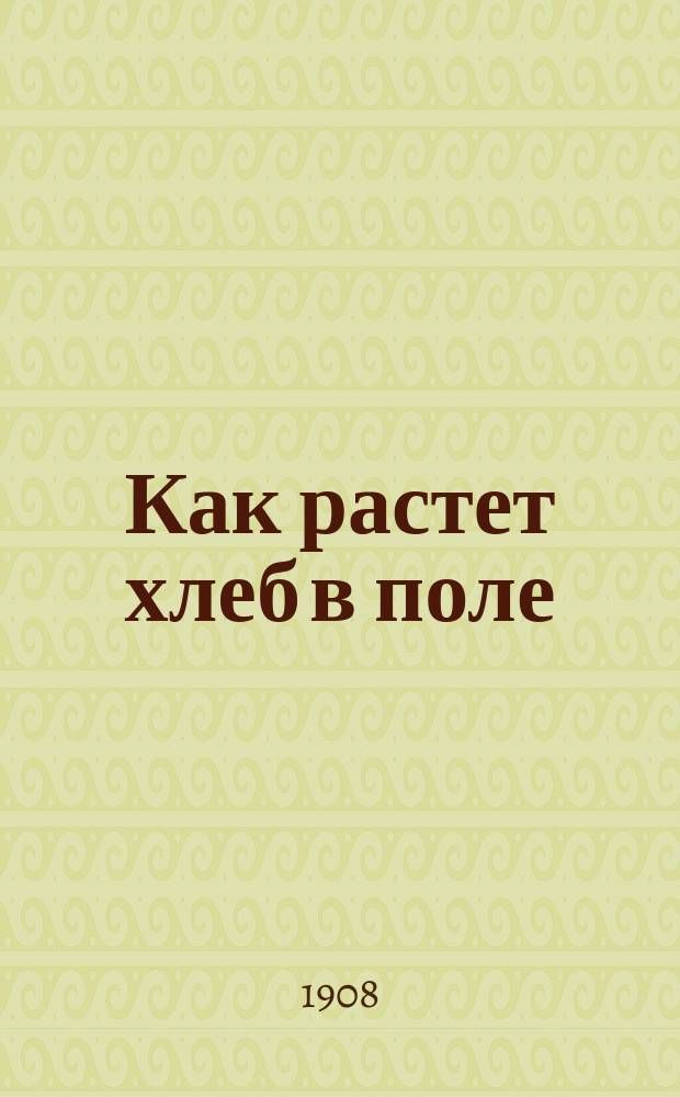 Как растет хлеб в поле : Общедоступ. очерк жизни хлеб. злаков : С 20 рис. в тексте