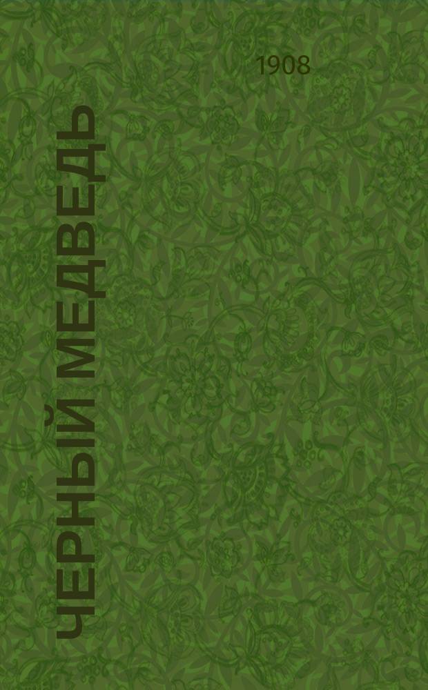 Черный медведь : Повесть для детей