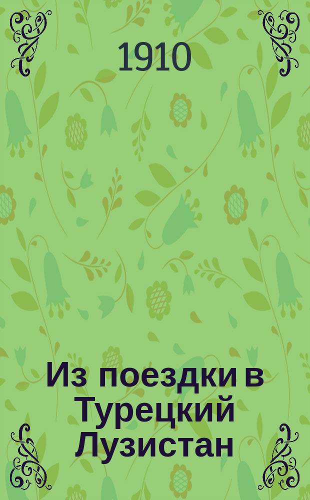 Из поездки в Турецкий Лузистан : (Впечатления и наблюдения)