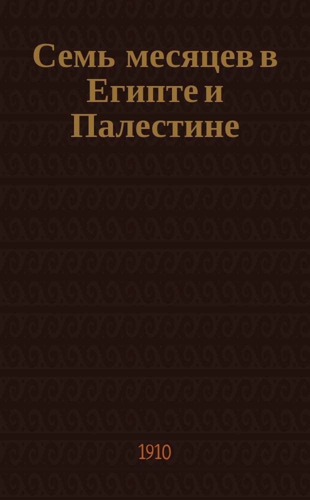 Семь месяцев в Египте и Палестине : Очерки и впечатления
