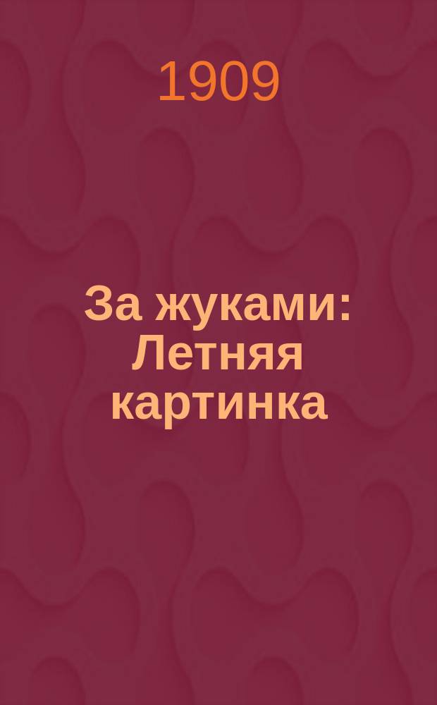 За жуками : Летняя картинка