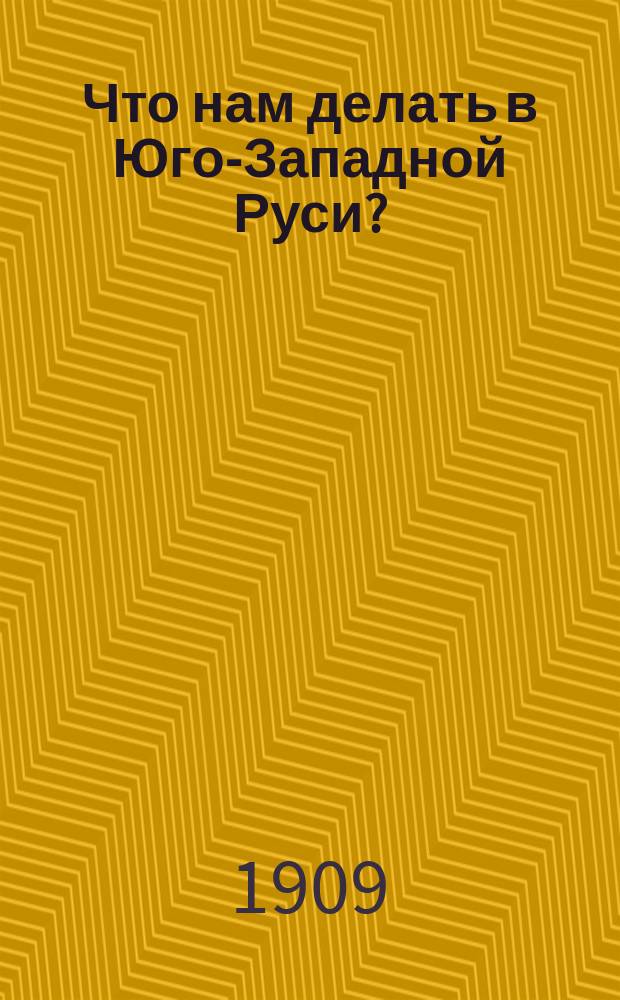 Что нам делать в Юго-Западной Руси?