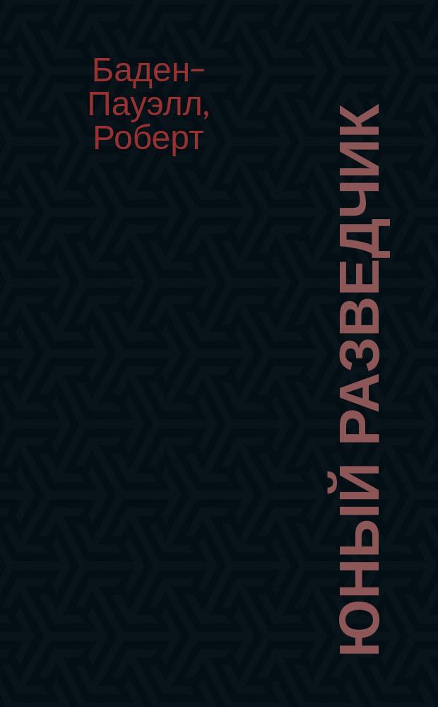 Юный разведчик