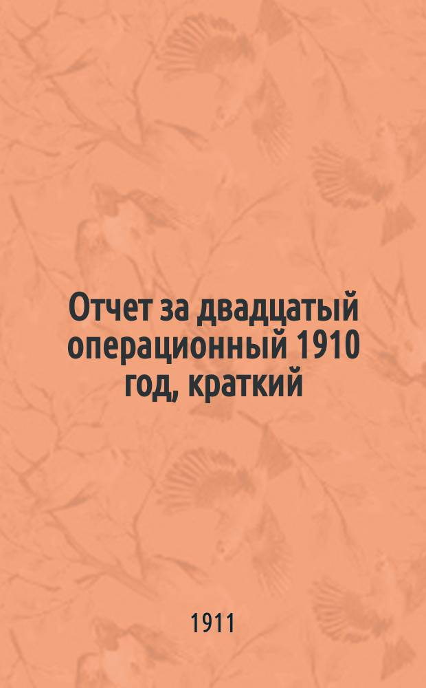 Отчет за двадцатый операционный 1910 год, [краткий]