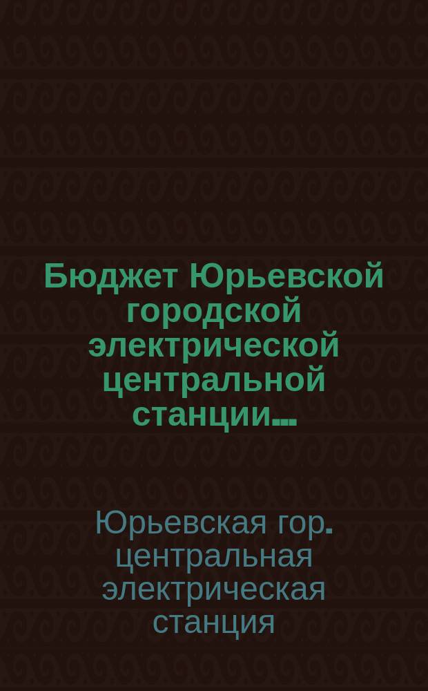 Бюджет Юрьевской городской электрической центральной станции...
