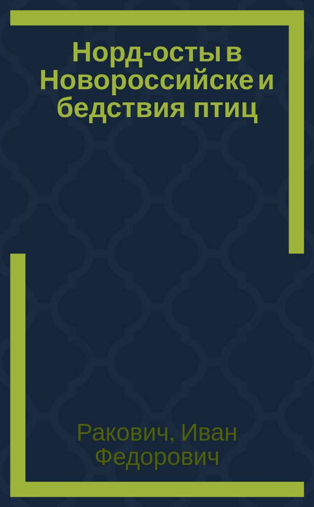 Норд-осты в Новороссийске и бедствия птиц