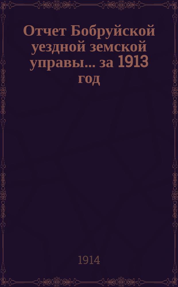 Отчет Бобруйской уездной земской управы... за 1913 год