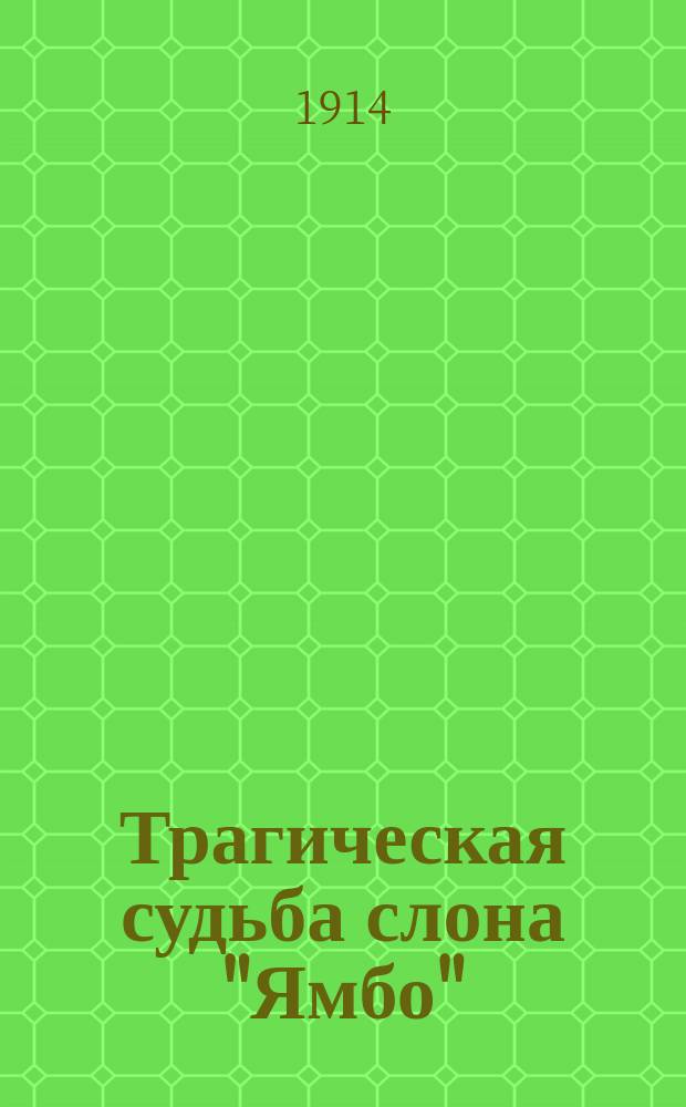Трагическая судьба слона "Ямбо"