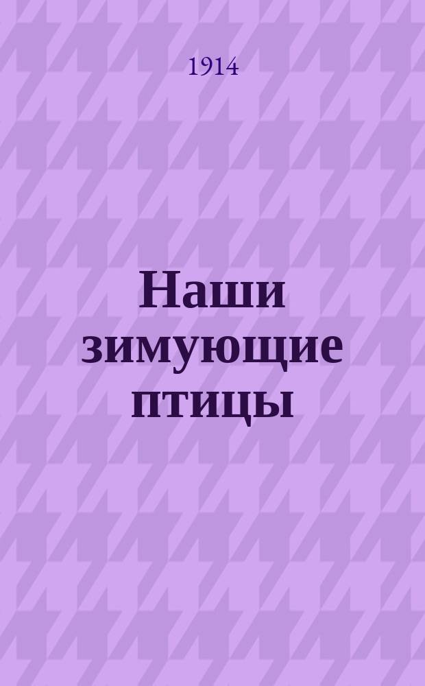 Наши зимующие птицы