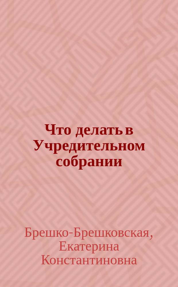 ... Что делать в Учредительном собрании