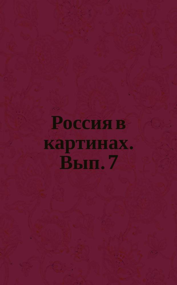 Россия в картинах. Вып. 7 : [Великороссия ; Центральная губерния]
