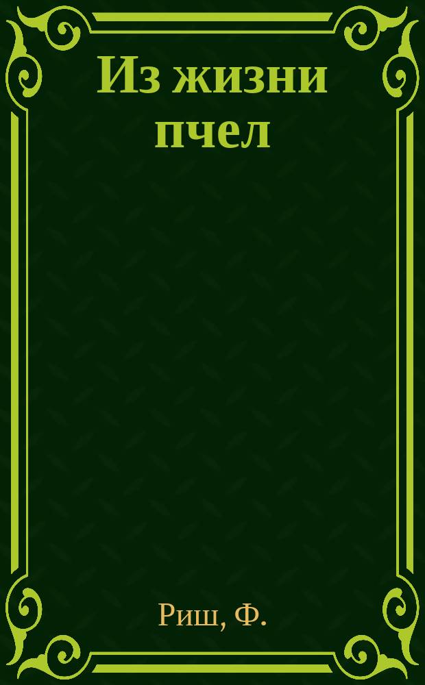 Из жизни пчел