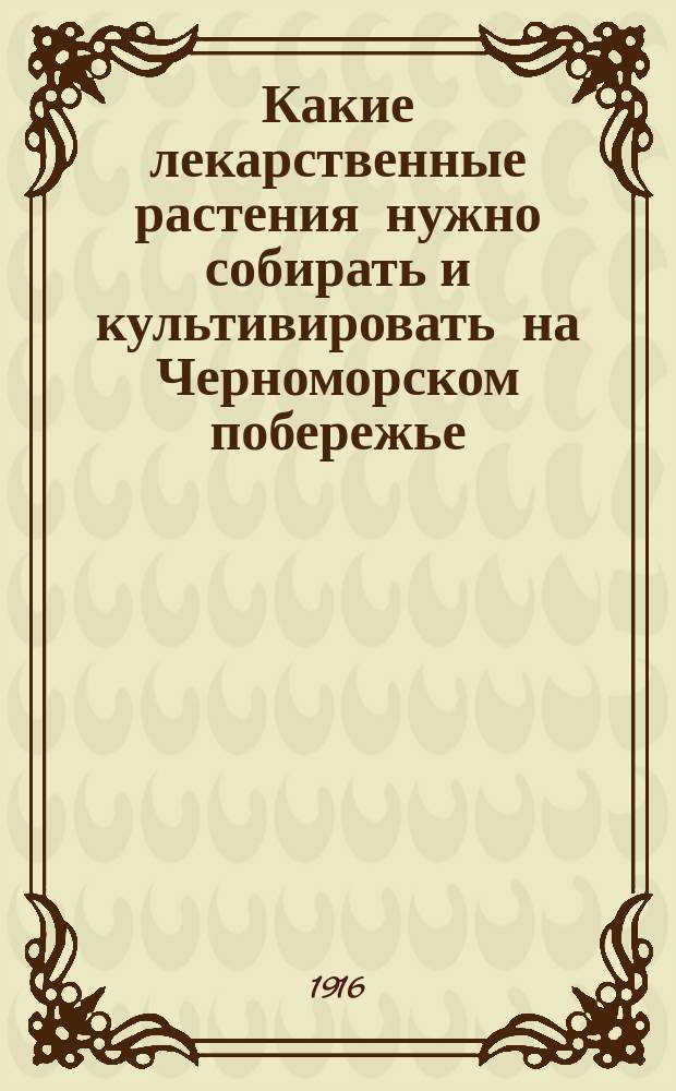 Какие лекарственные растения нужно собирать и культивировать на Черноморском побережье