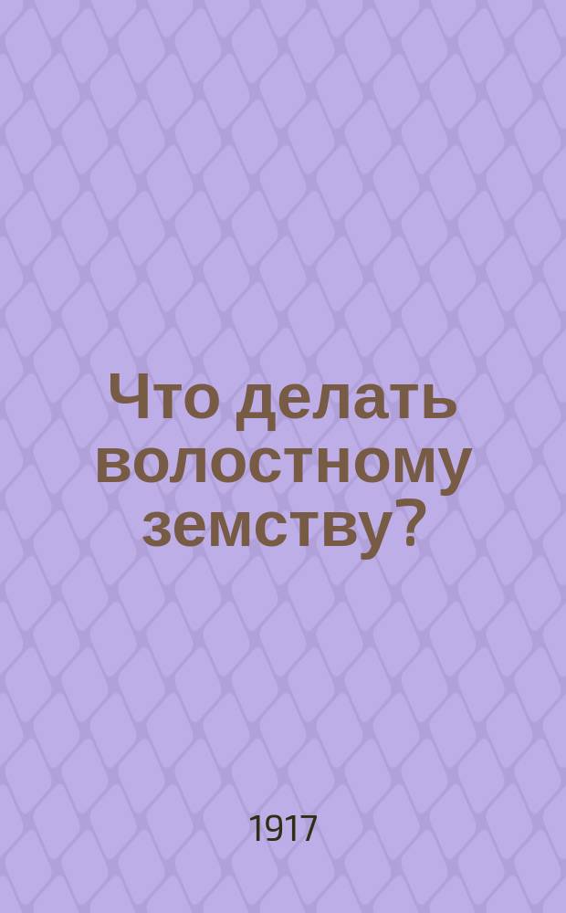 ... Что делать волостному земству?