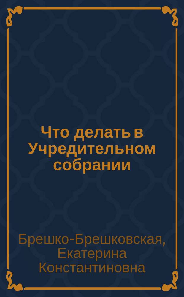 ... Что делать в Учредительном собрании