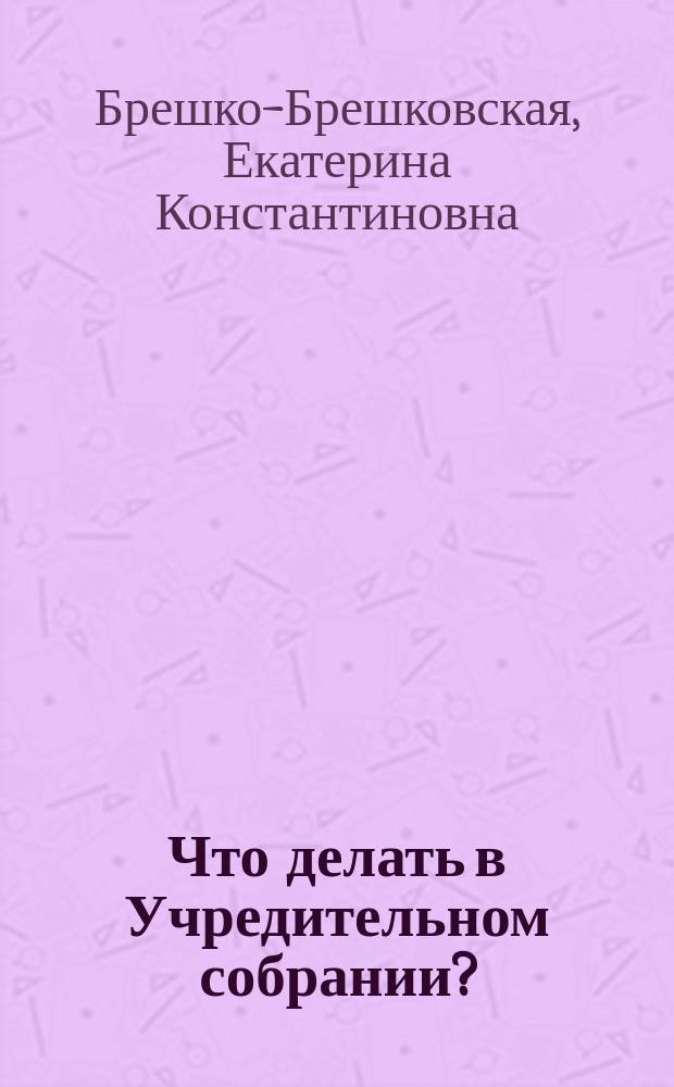 ... Что делать в Учредительном собрании?