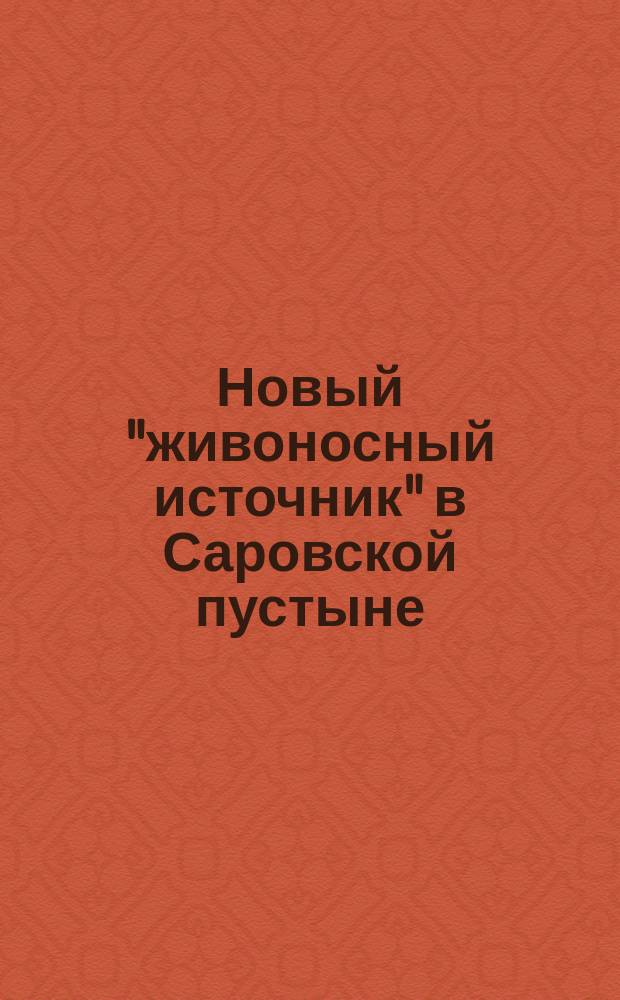 Новый "живоносный источник" в Саровской пустыне