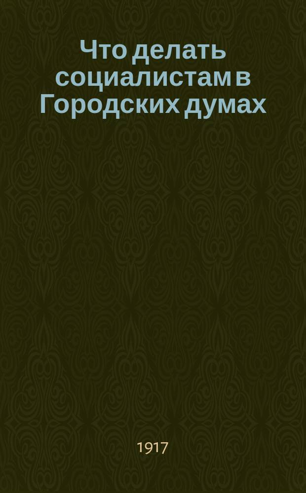 Что делать социалистам в Городских думах