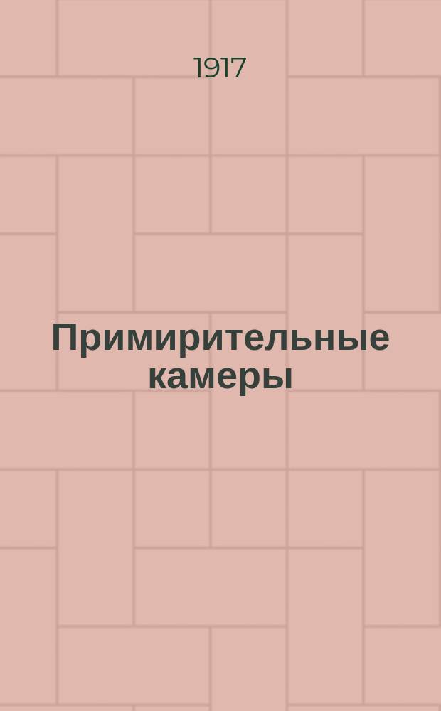 Примирительные камеры : (Инструкция)