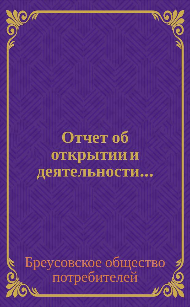 Отчет об открытии и деятельности...