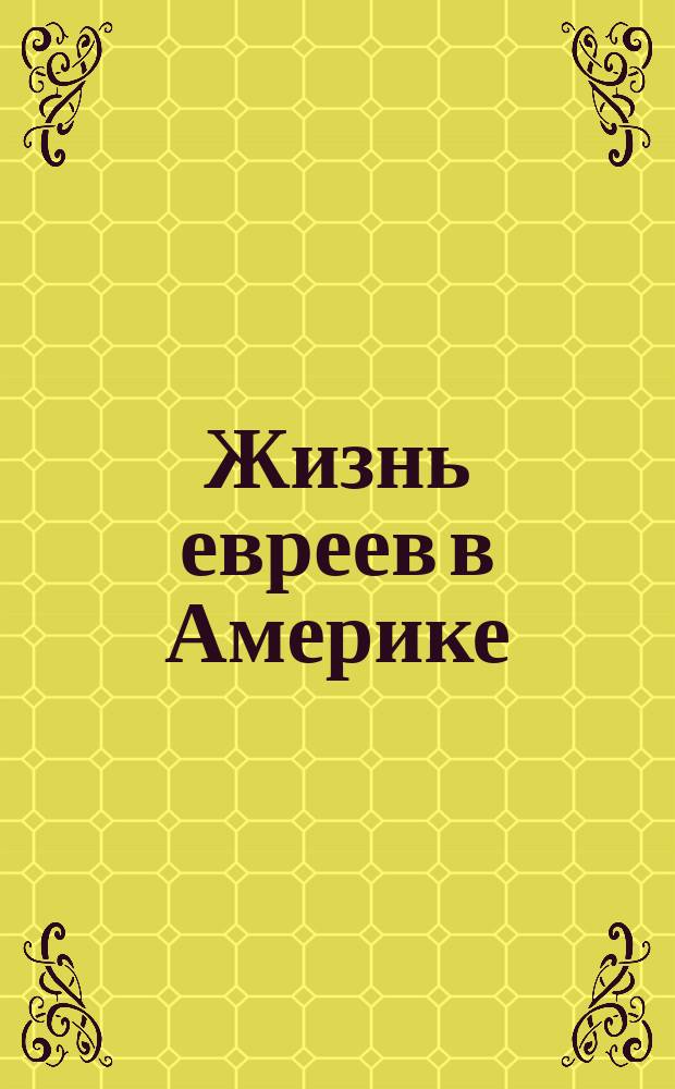 Жизнь евреев в Америке : Либретто