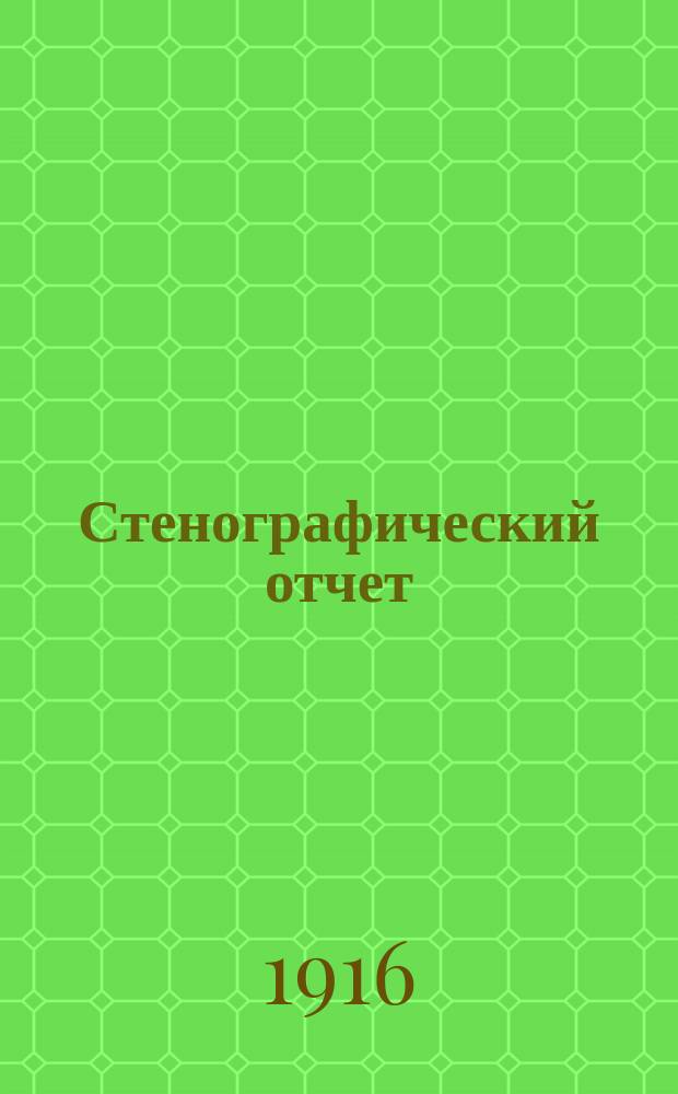 Стенографический отчет