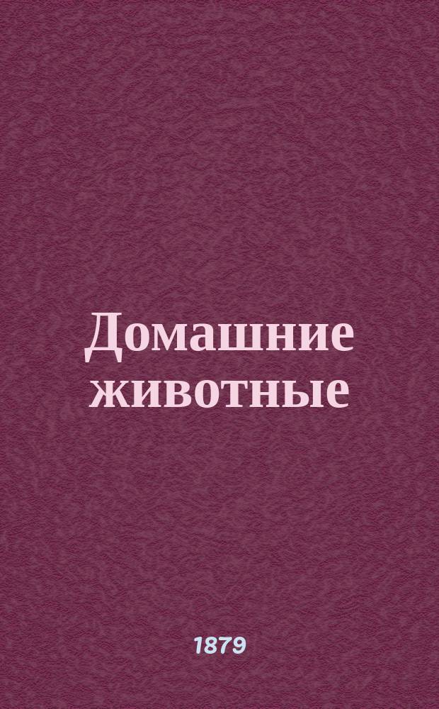 ... Домашние животные