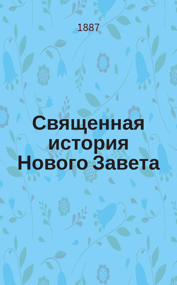 Священная история Нового Завета : В объеме гимназического курса
