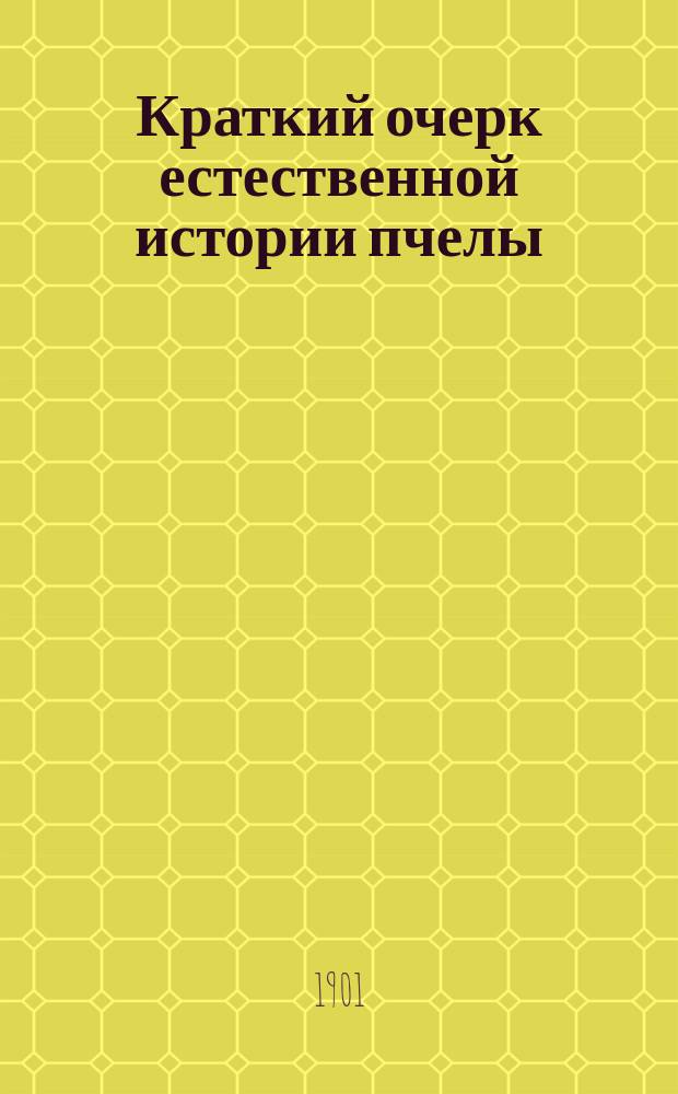 Краткий очерк естественной истории пчелы