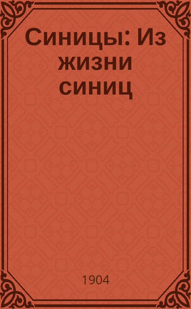 ... Синицы : Из жизни синиц : Для детей