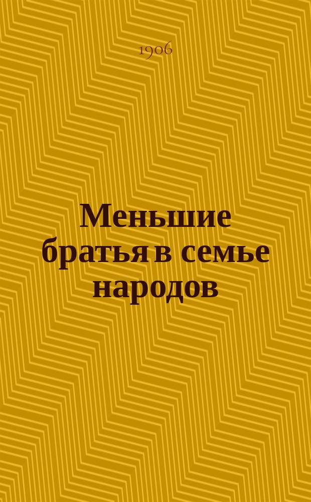 ...Меньшие братья в семье народов : [Очерки быта и нравов дикарей] Со многими рис. Очерк 1-17. Очерк 10 : Еще о замечательных делах без замечательных людей