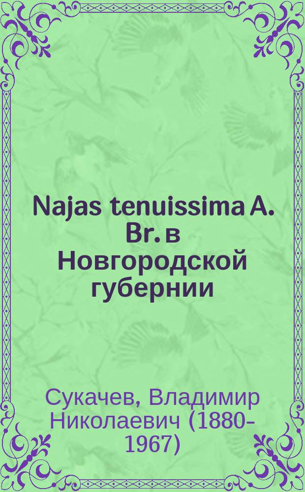 ... Najas tenuissima A. Br. в Новгородской губернии