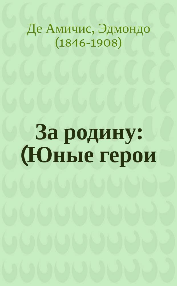 За родину : (Юные герои) : Рассказы для детей : Пер. с итал. : С рис. в тексте