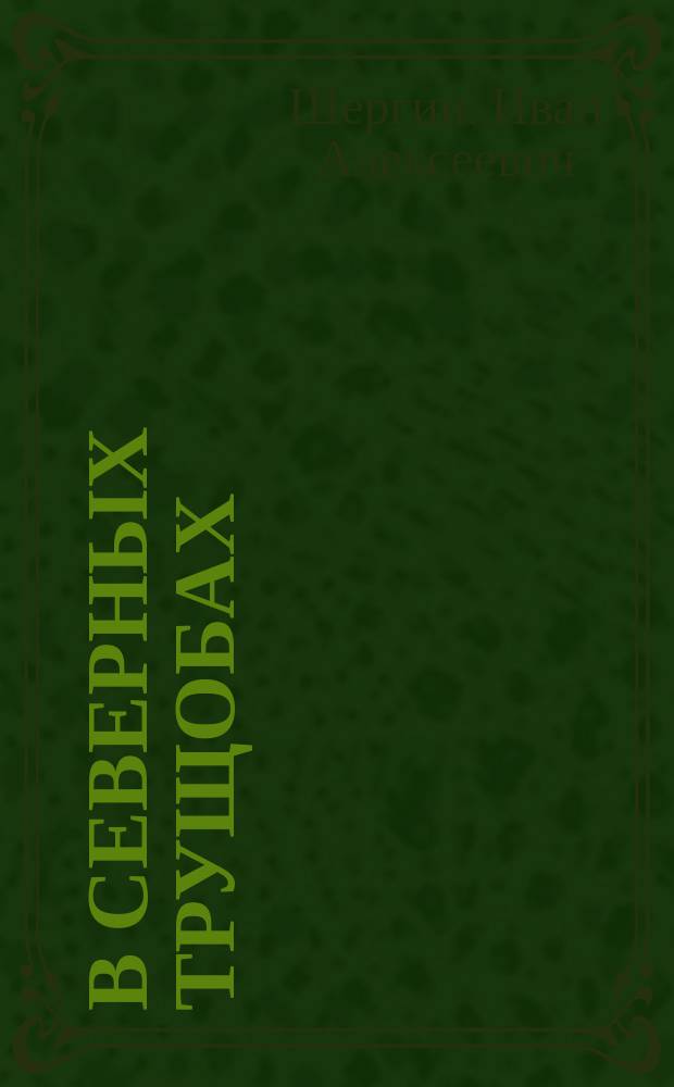 В северных трущобах