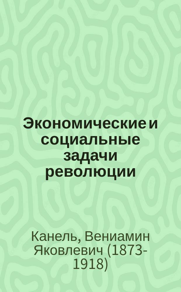 Экономические и социальные задачи революции