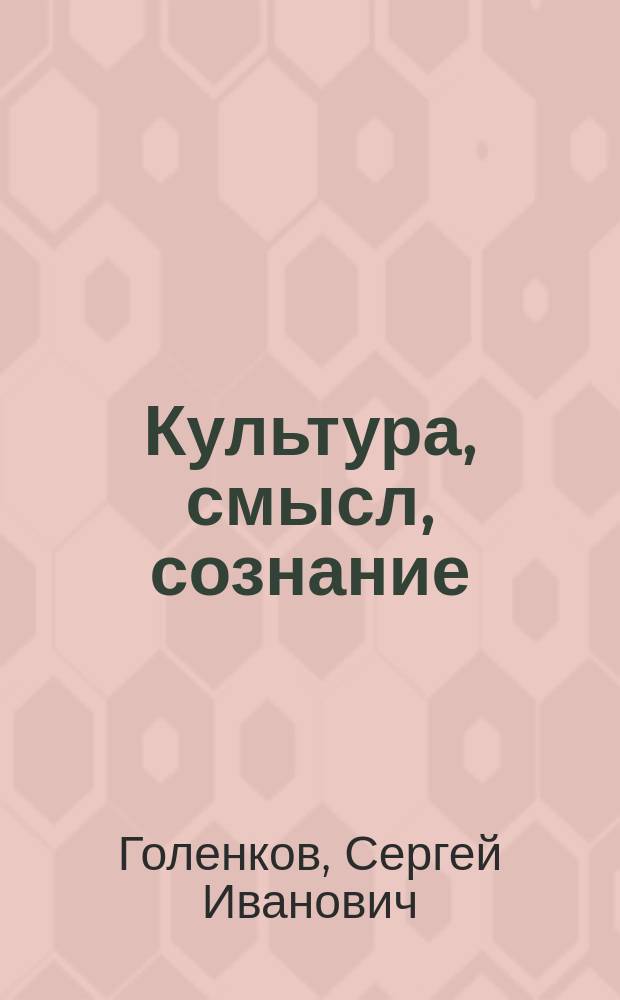 Культура, смысл, сознание : (Сознание в предмете философии культуры)