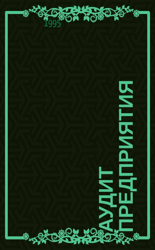 Аудит предприятия : Методология аудит. проверки хоз.-финансовой деятельности предприятия : Учеб. пособие