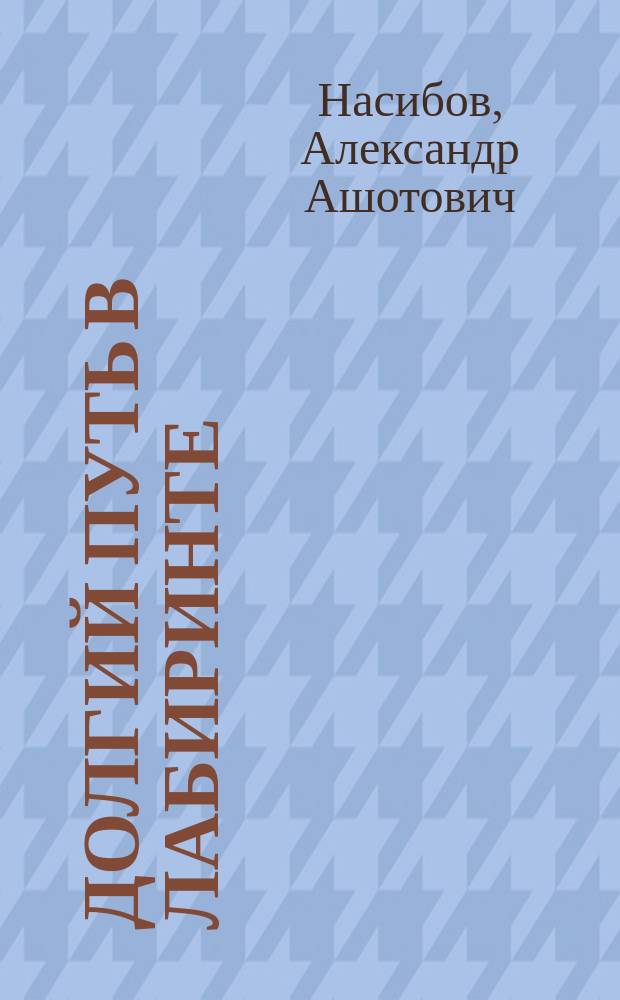 Долгий путь в лабиринте : Роман